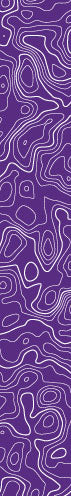 Topography Violet