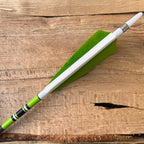 Classic Lightgreen