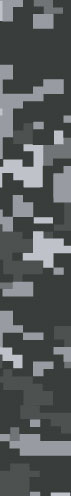 Camo Digital