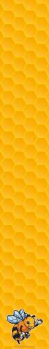 Honeybee
