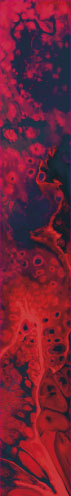 Liquids 3