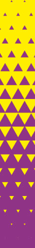 Trigon Yellow Violet