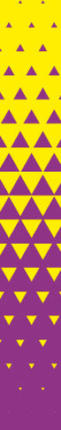Trigon Yellow Violet