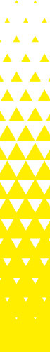 Trigon White Yellow