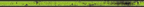 Grime Lightgreen